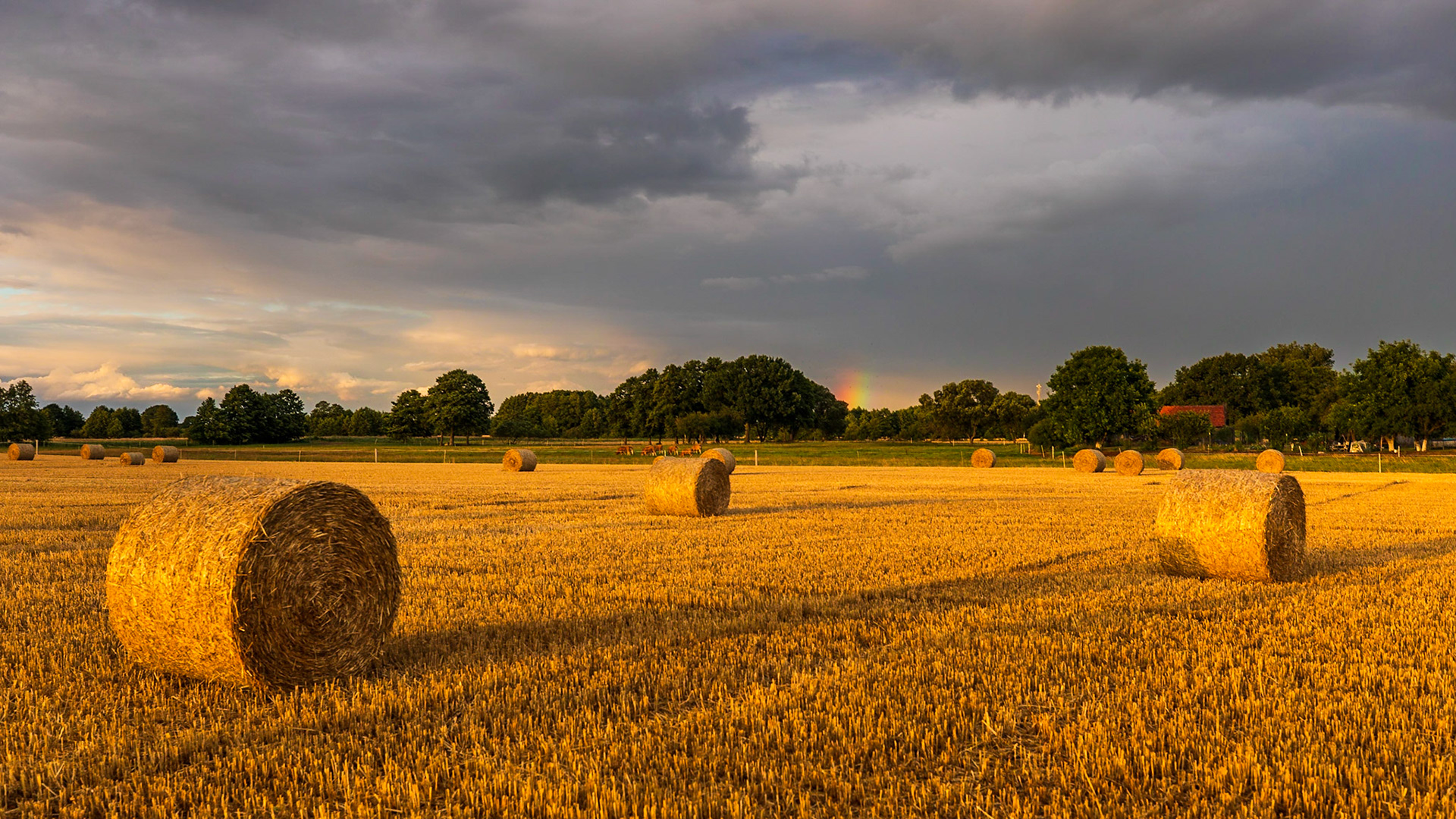 Sunset at Zalew Szczecinski