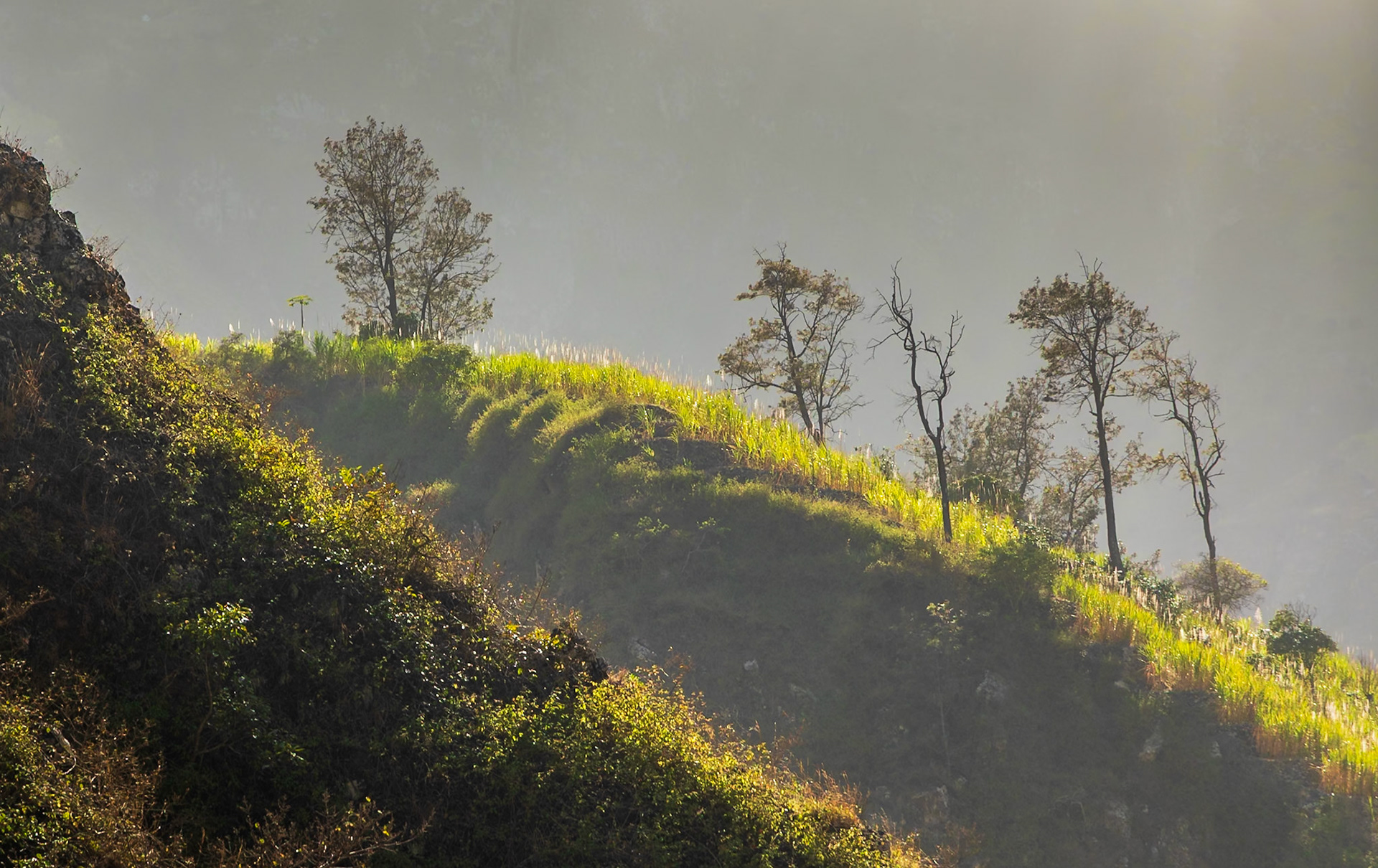Vale do Paul, Santo Antao