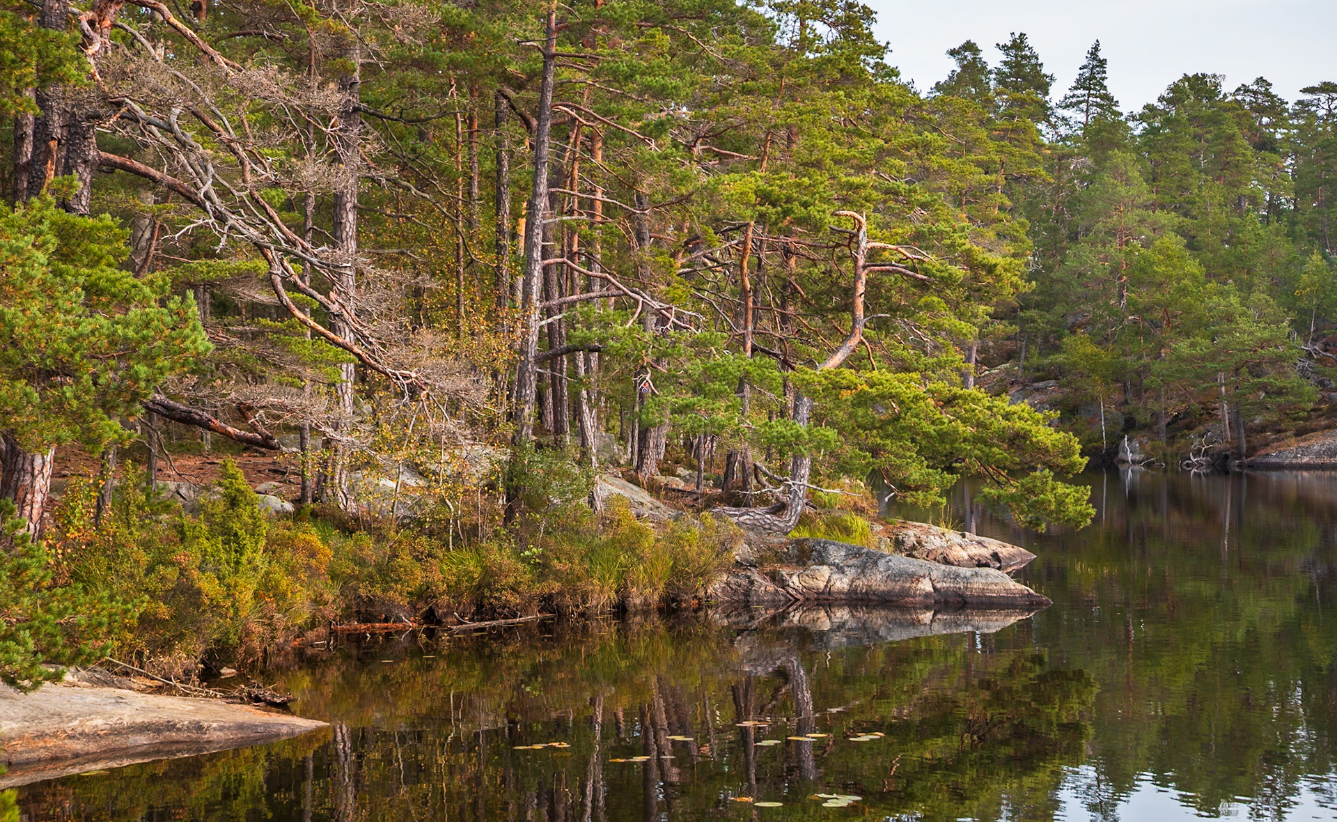 Park Narodowy Tyresta