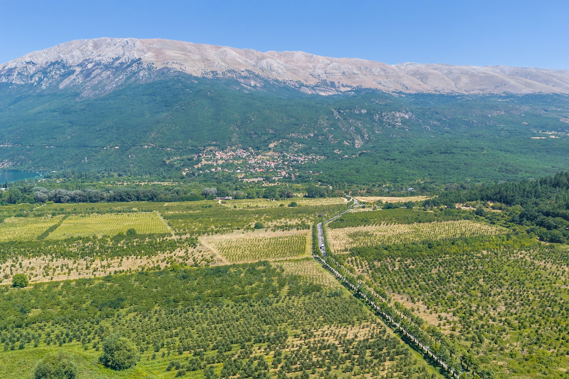 default