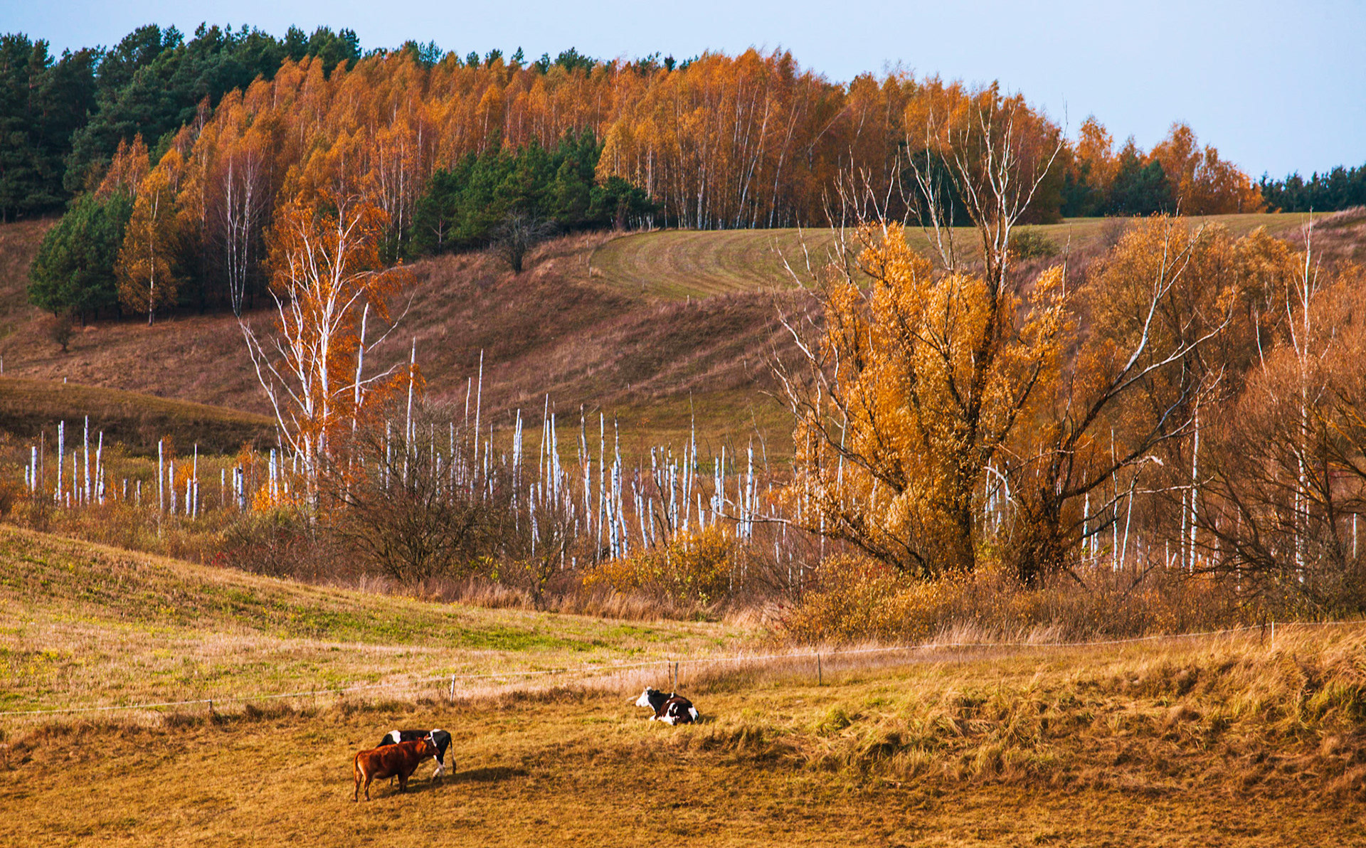 Suwalski Park Krajobrazowy