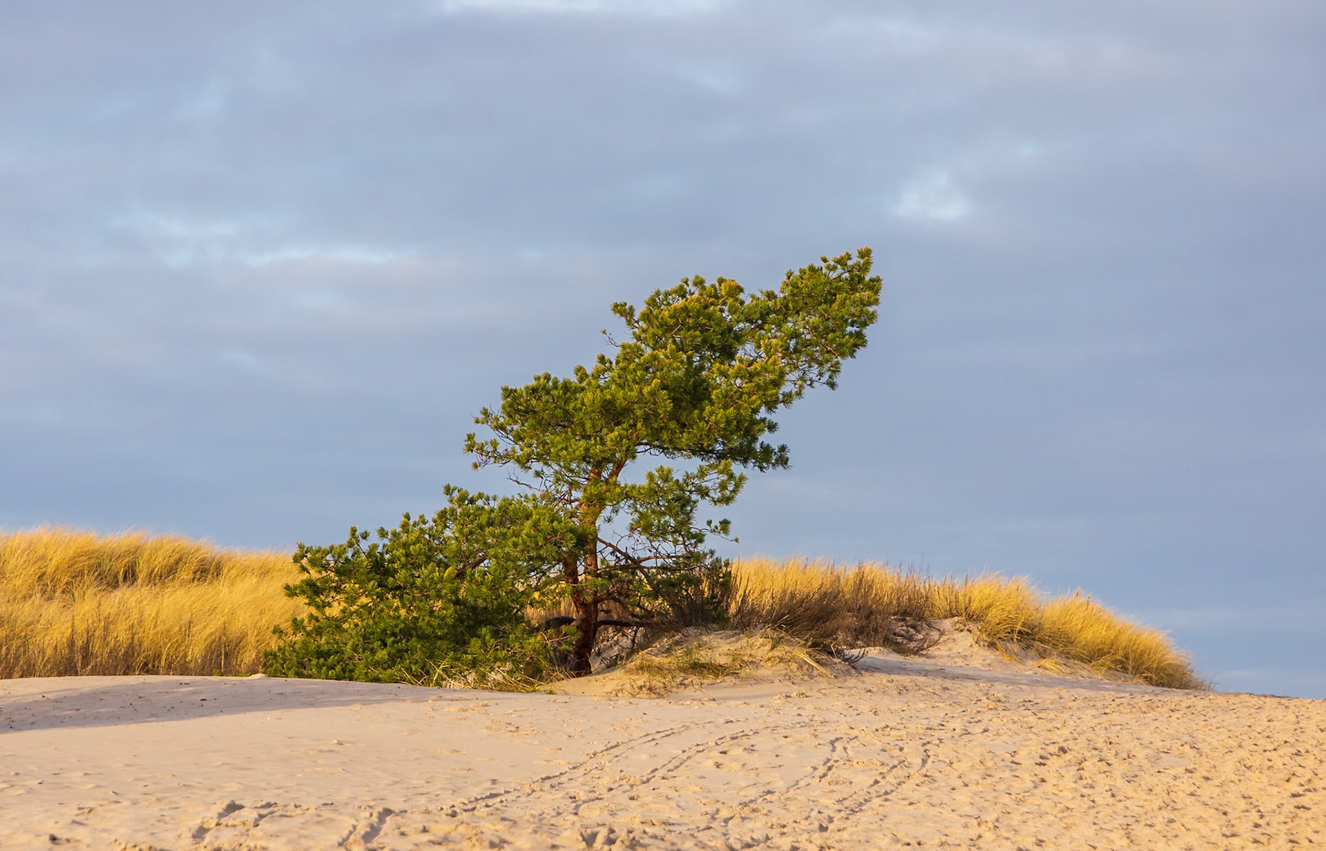 Słowiński Park Narodowy