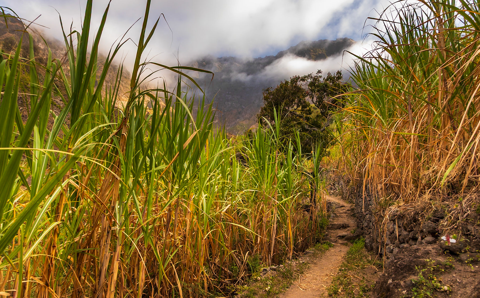 Vale do Paul, Santo Antao