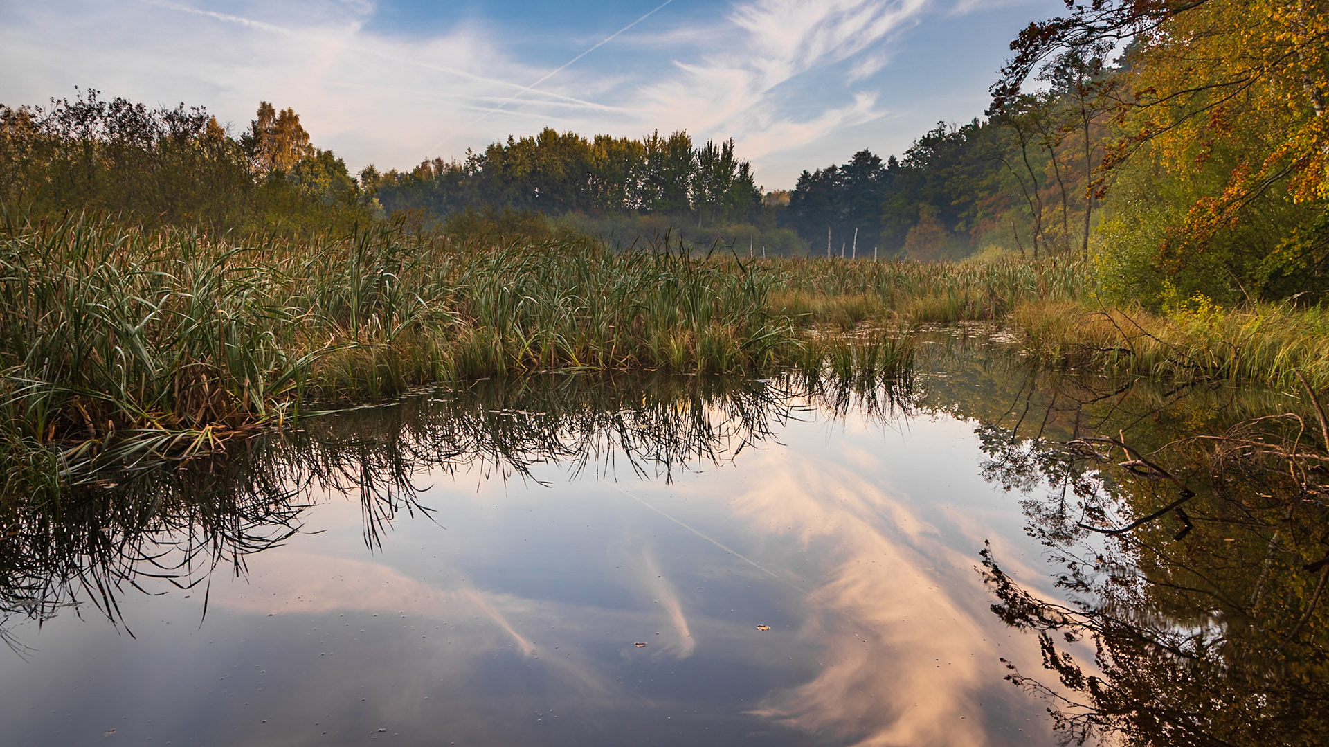 Rozlewiska Żródła Marii, Gdynia