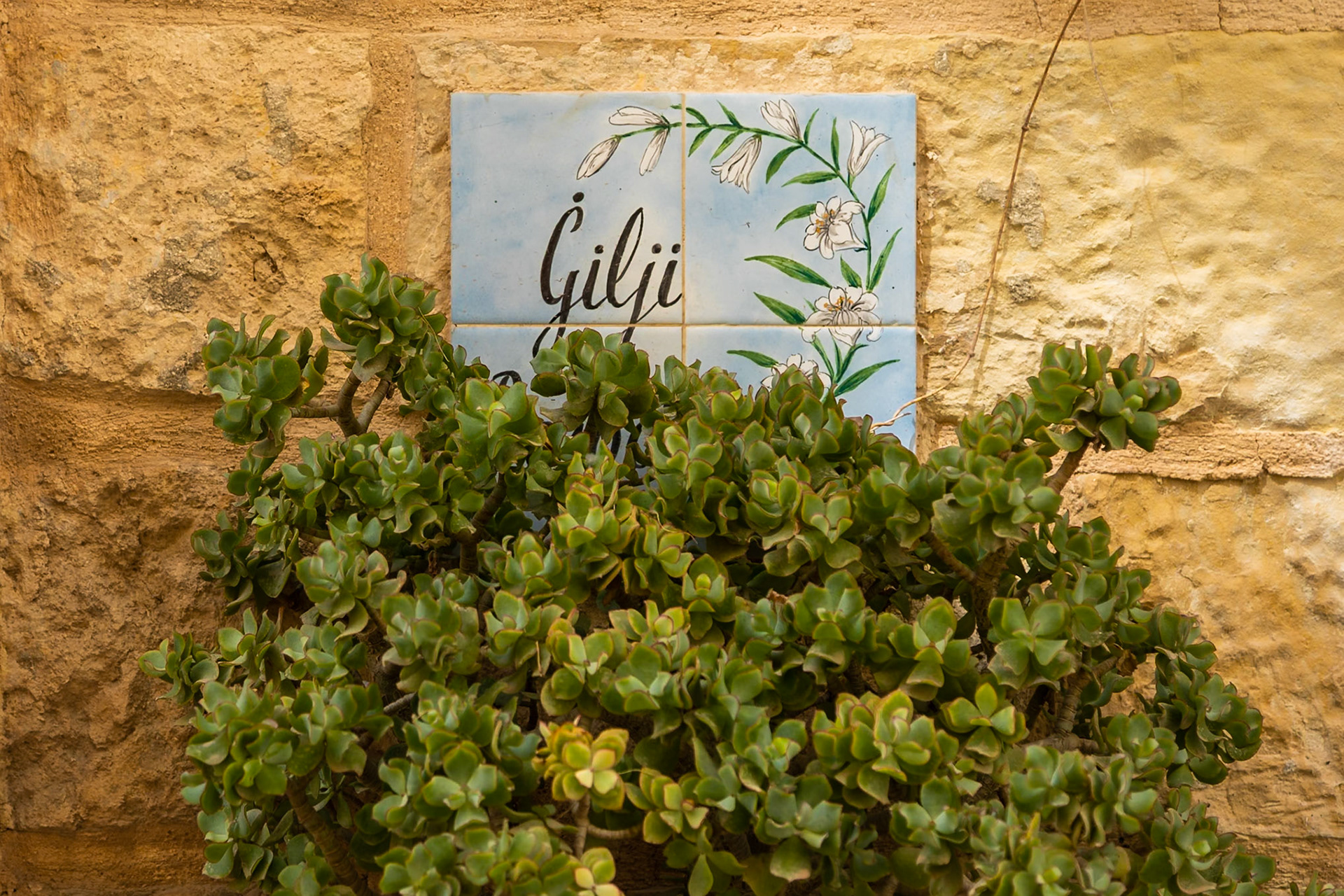 Mdina