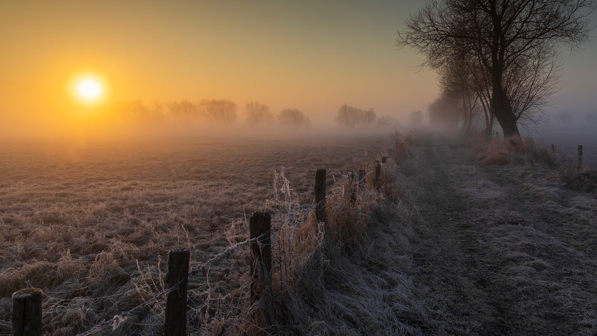 Biebrzański Park Narodowy
