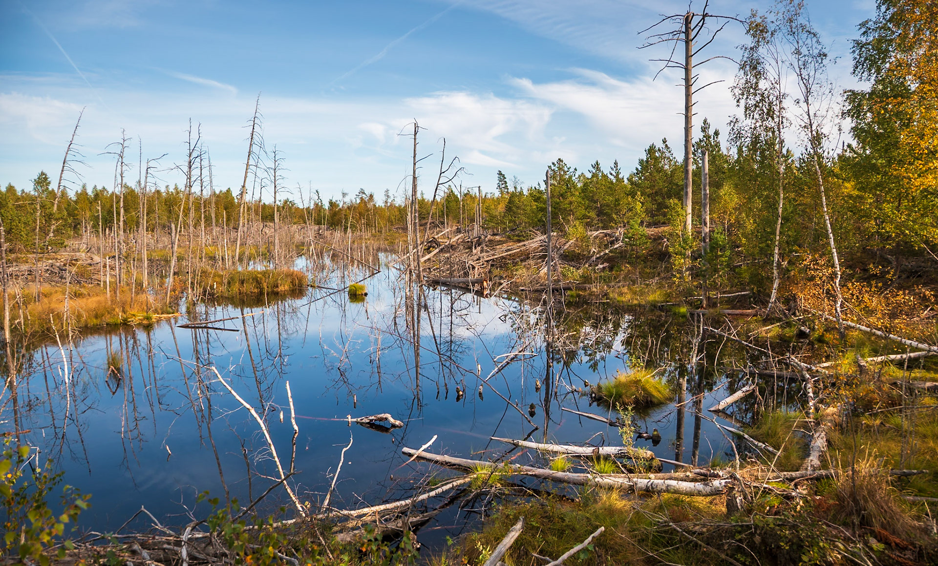 Park Narodowy Tyresta