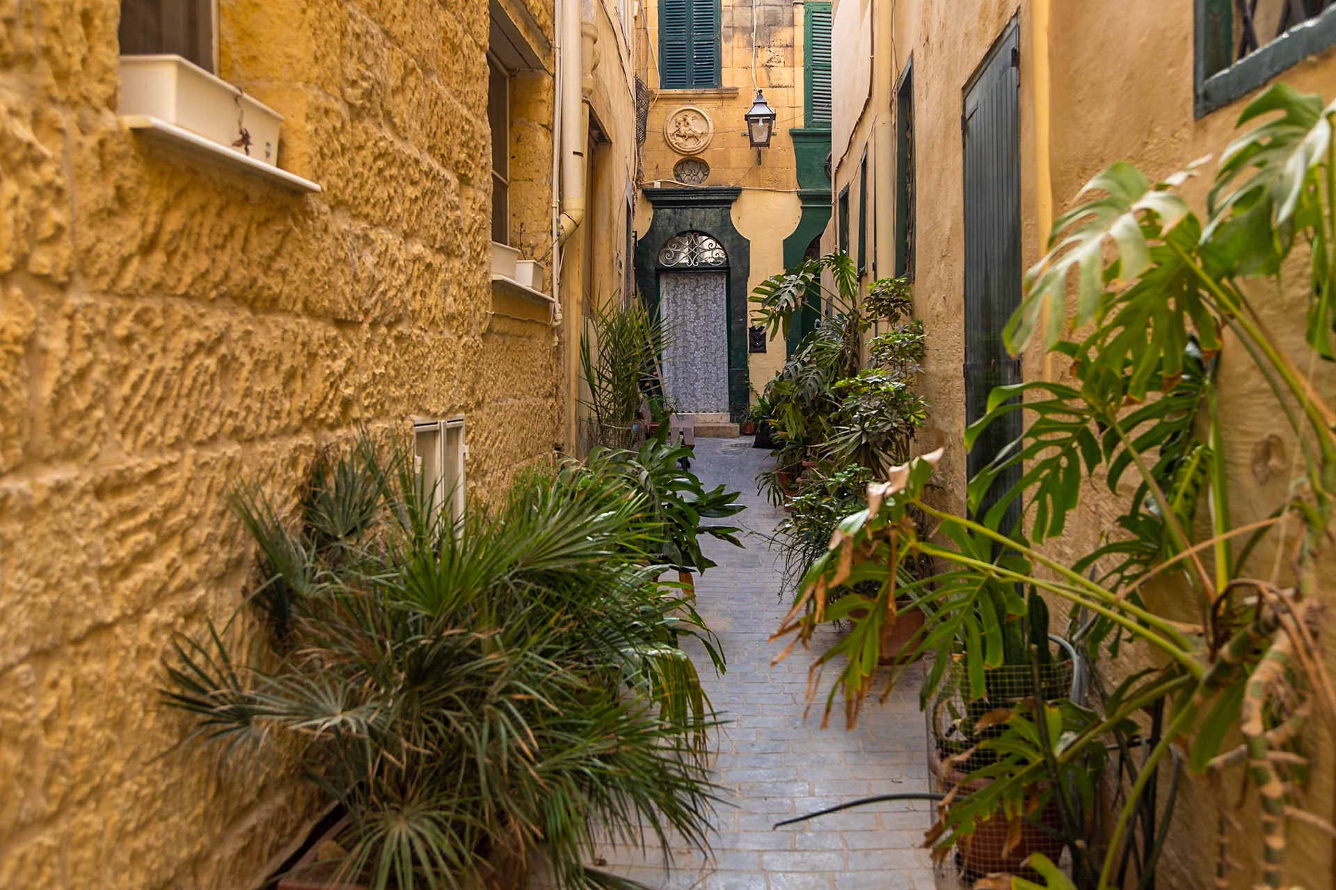 Gozo