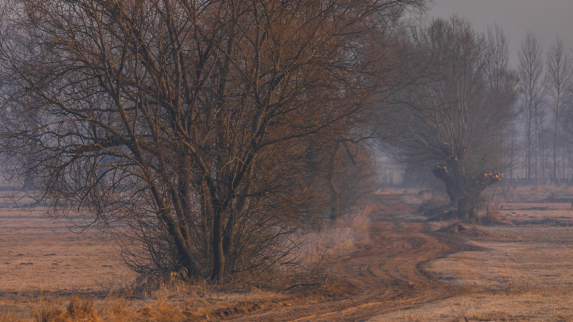 Biebrzański Park Narodowy