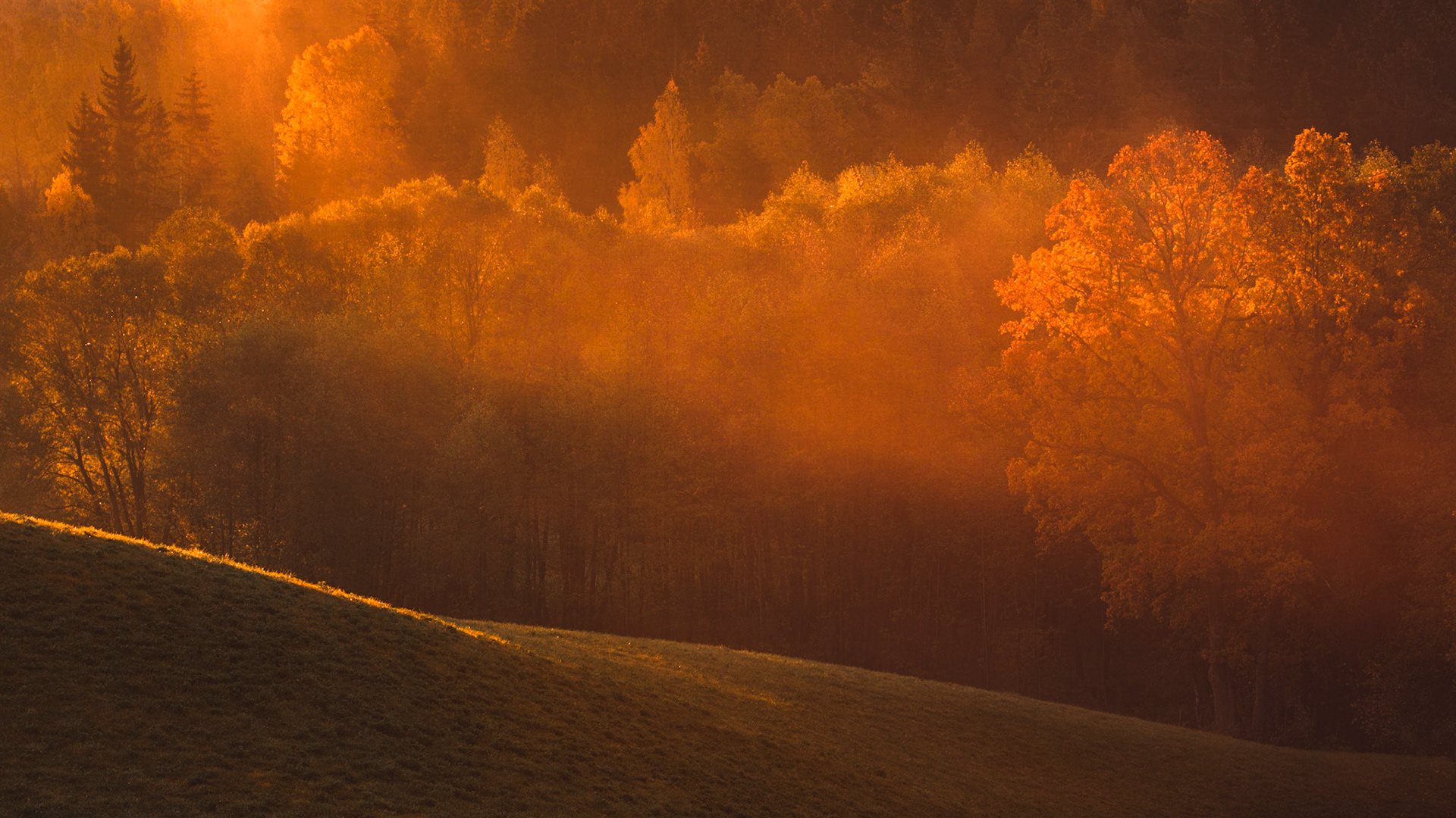 Suwalski Park Krajobrazowy