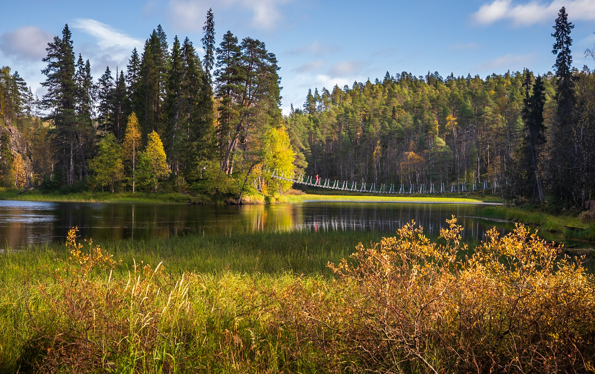 Park Narodowy Oulanka