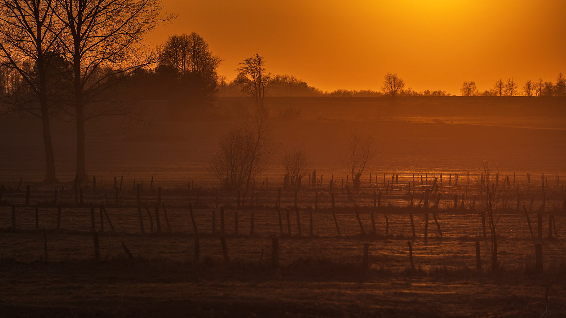 Biebrzański Park Narodowy