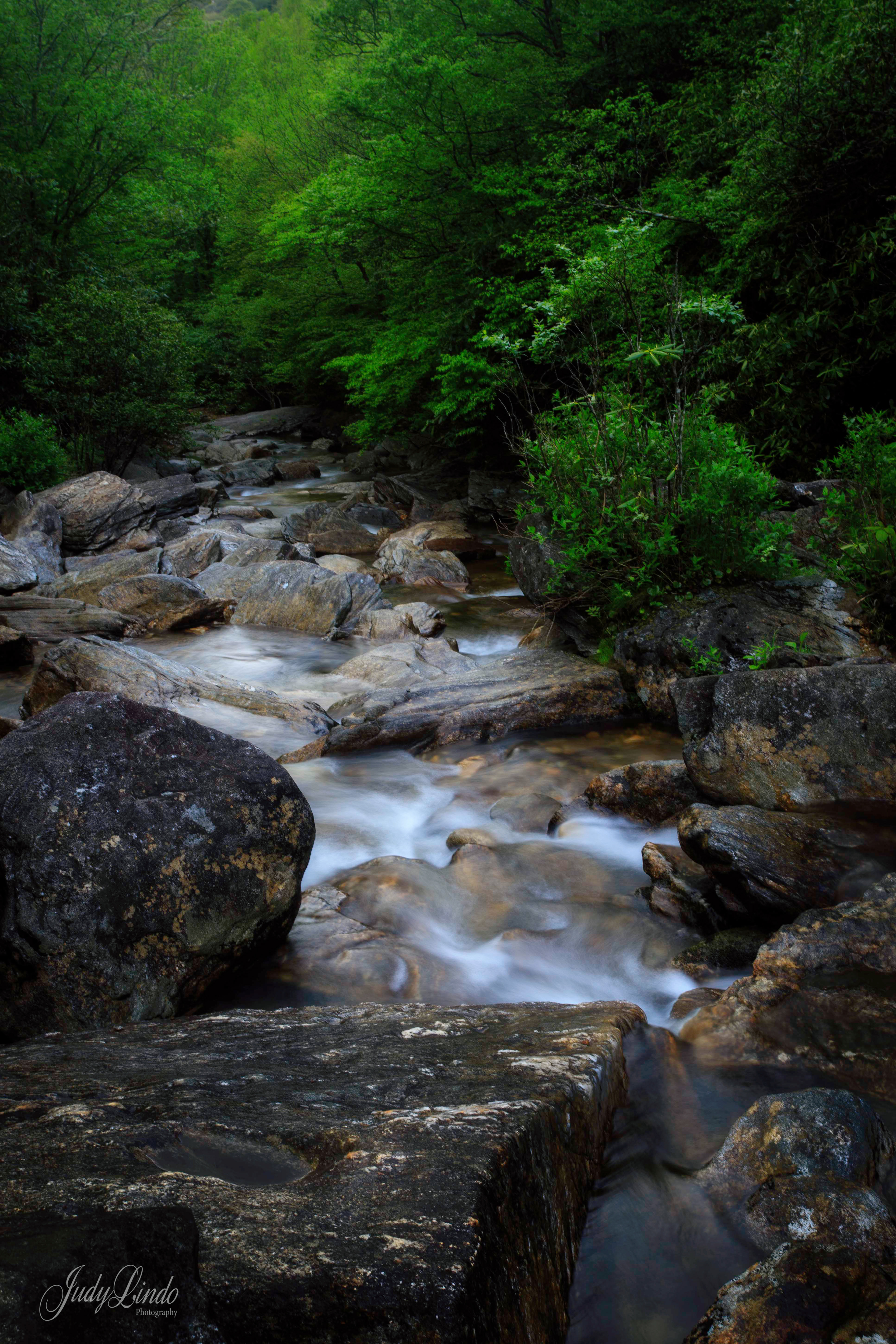 Pisgah National Forest, Lower waterfalls