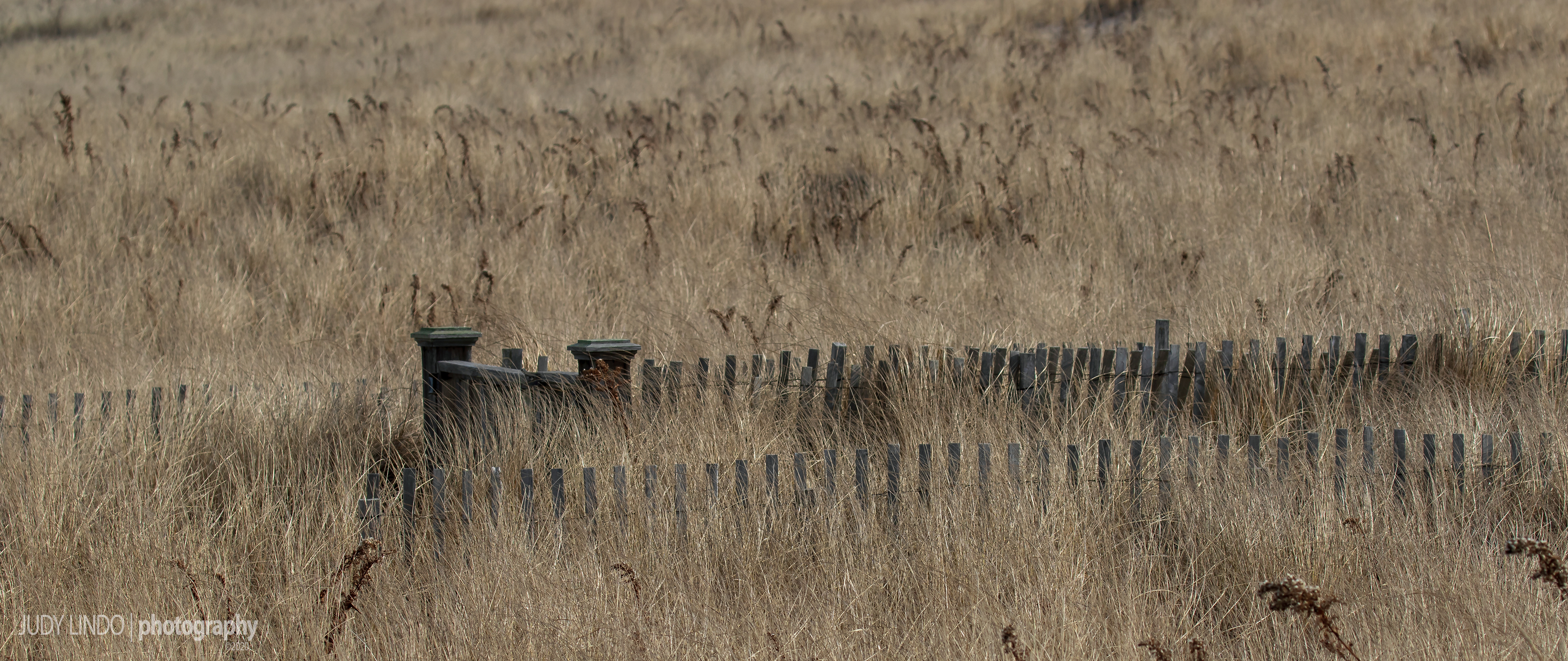 East Hampton beach fence