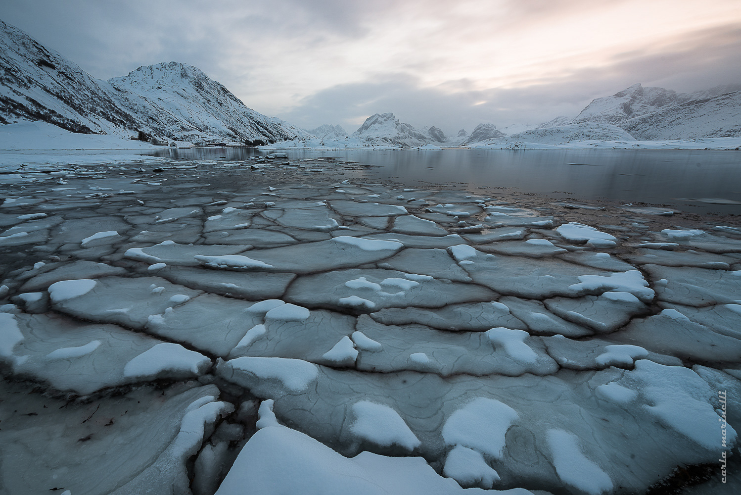 NatGeo Your Shot, Editor's favorite