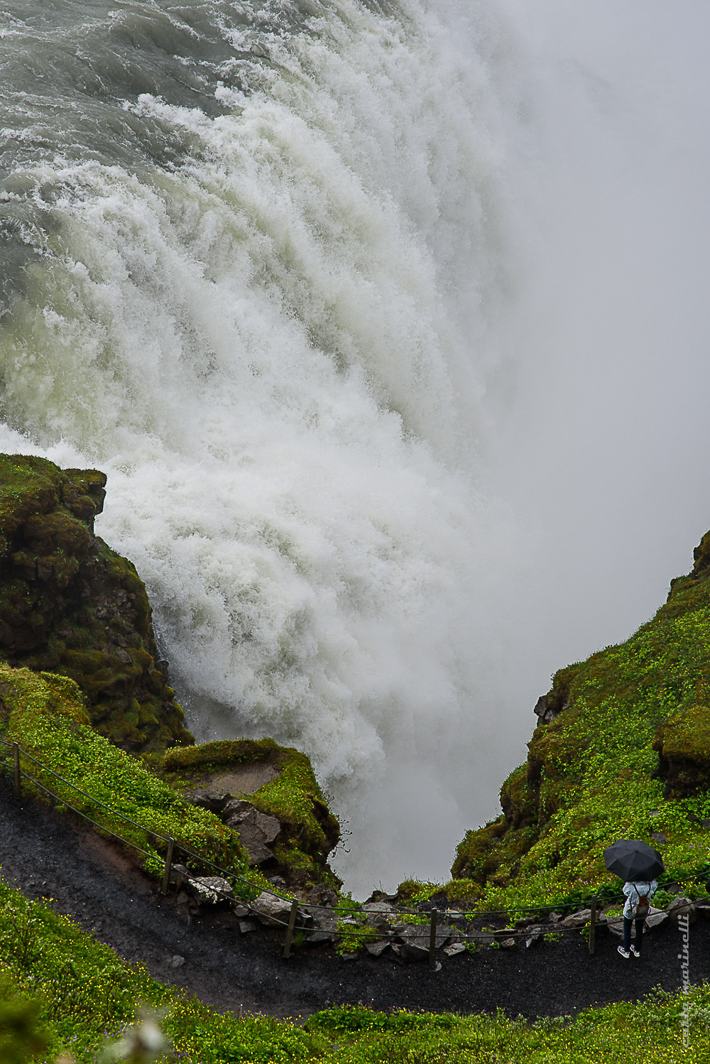 NatGeo Your Shot, Editor's favorite