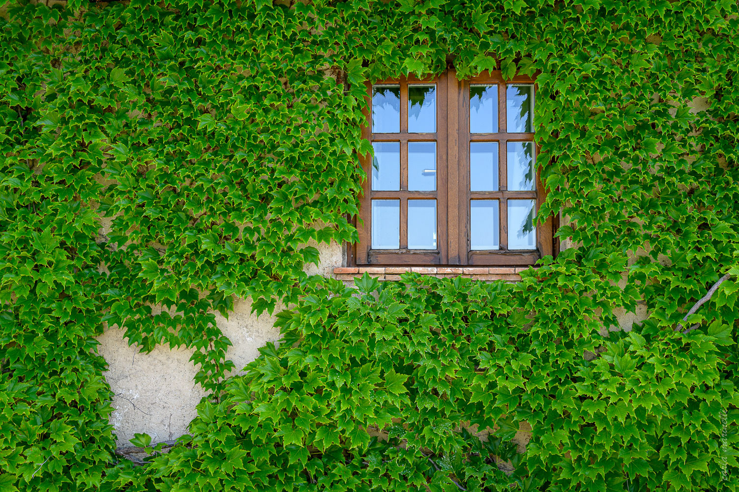 Saint-Paul-de-Vence