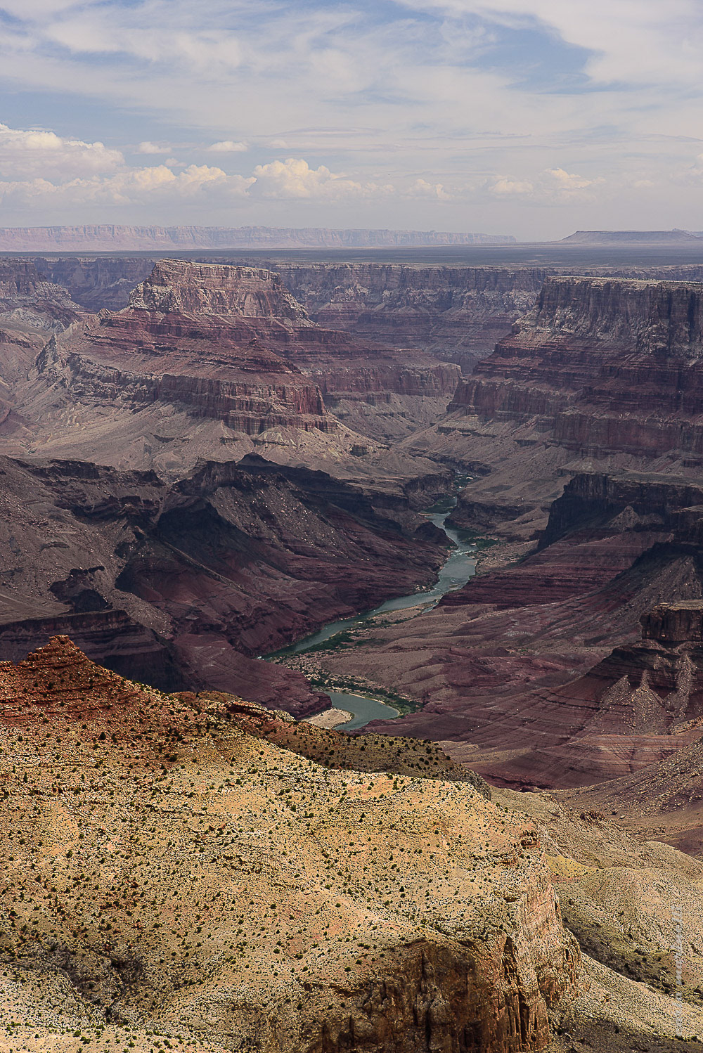NatGeo Your Shot, Editor's favorite