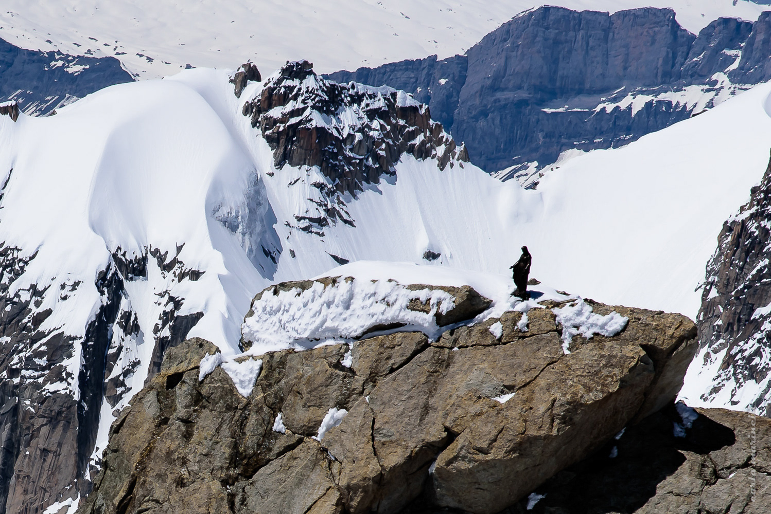 MONT BLANC, HELICOPTER