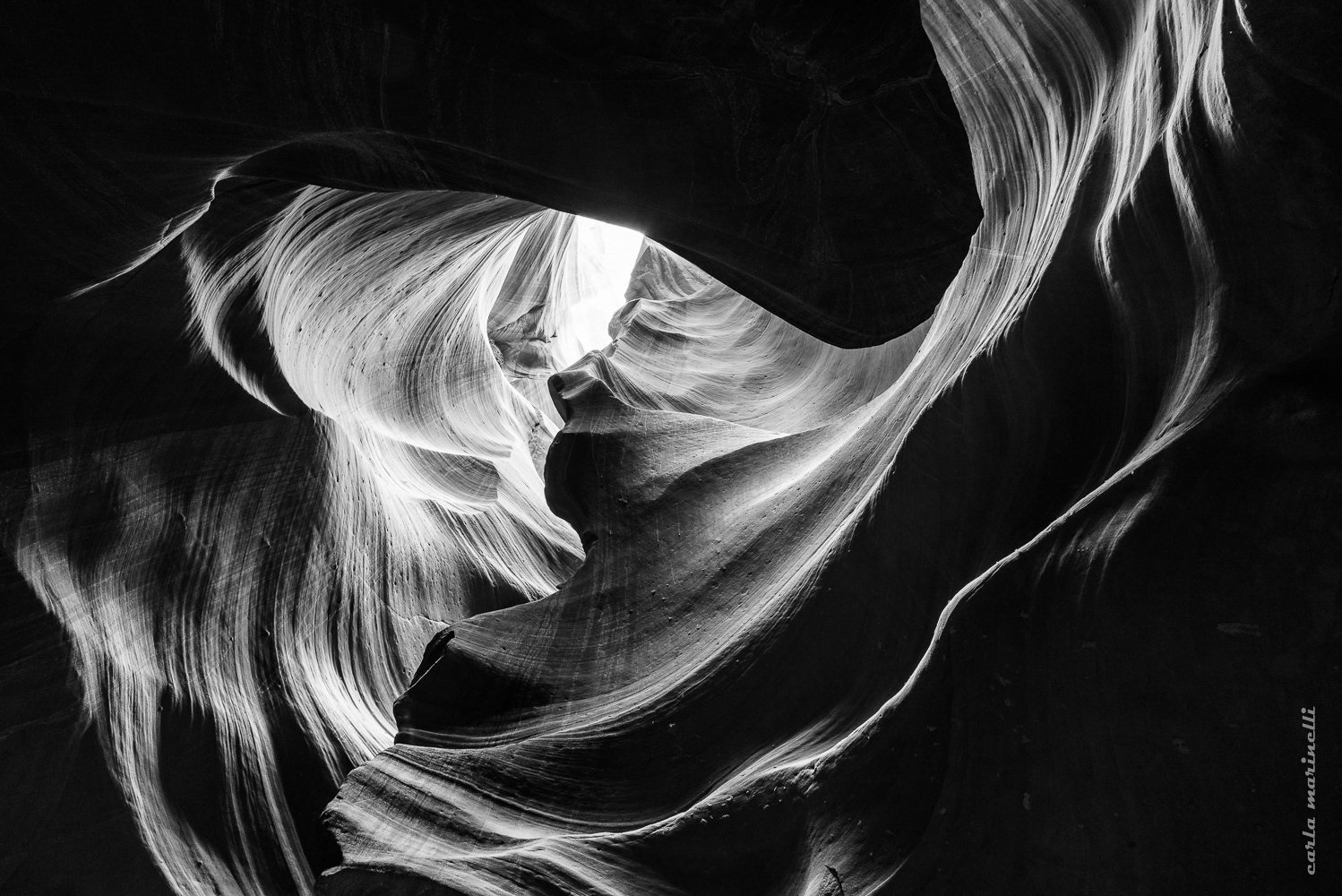 HIPA 2018-2019 "Hope" Finalist - Merit Medal Recipient