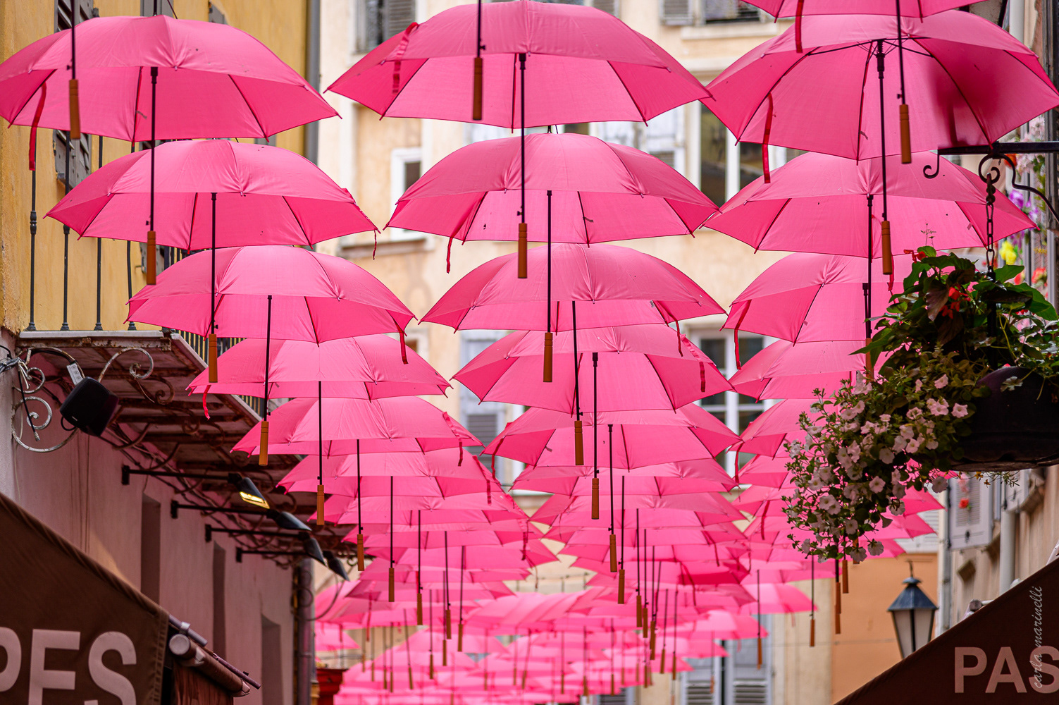 Grasse