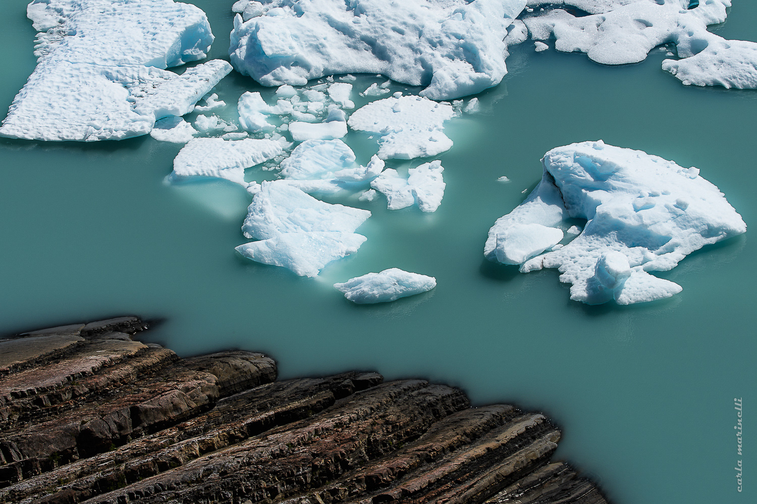 NatGeo Your Shot, Editor's favorite