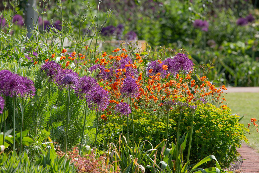New walled garden in late spring