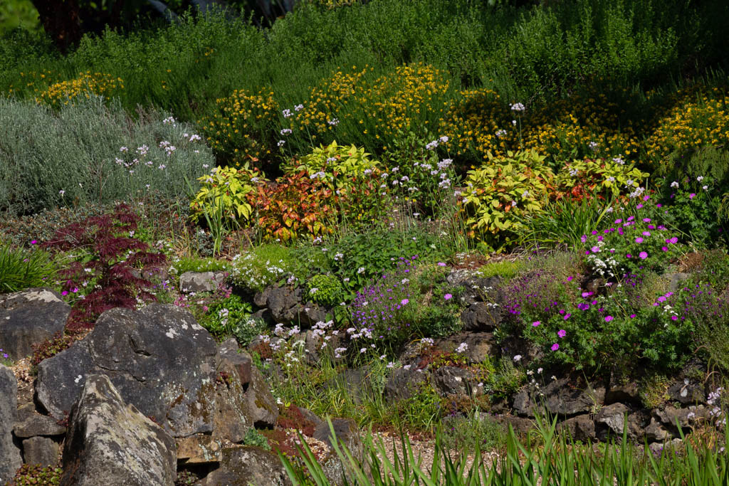 Rock Garden in Late Spring