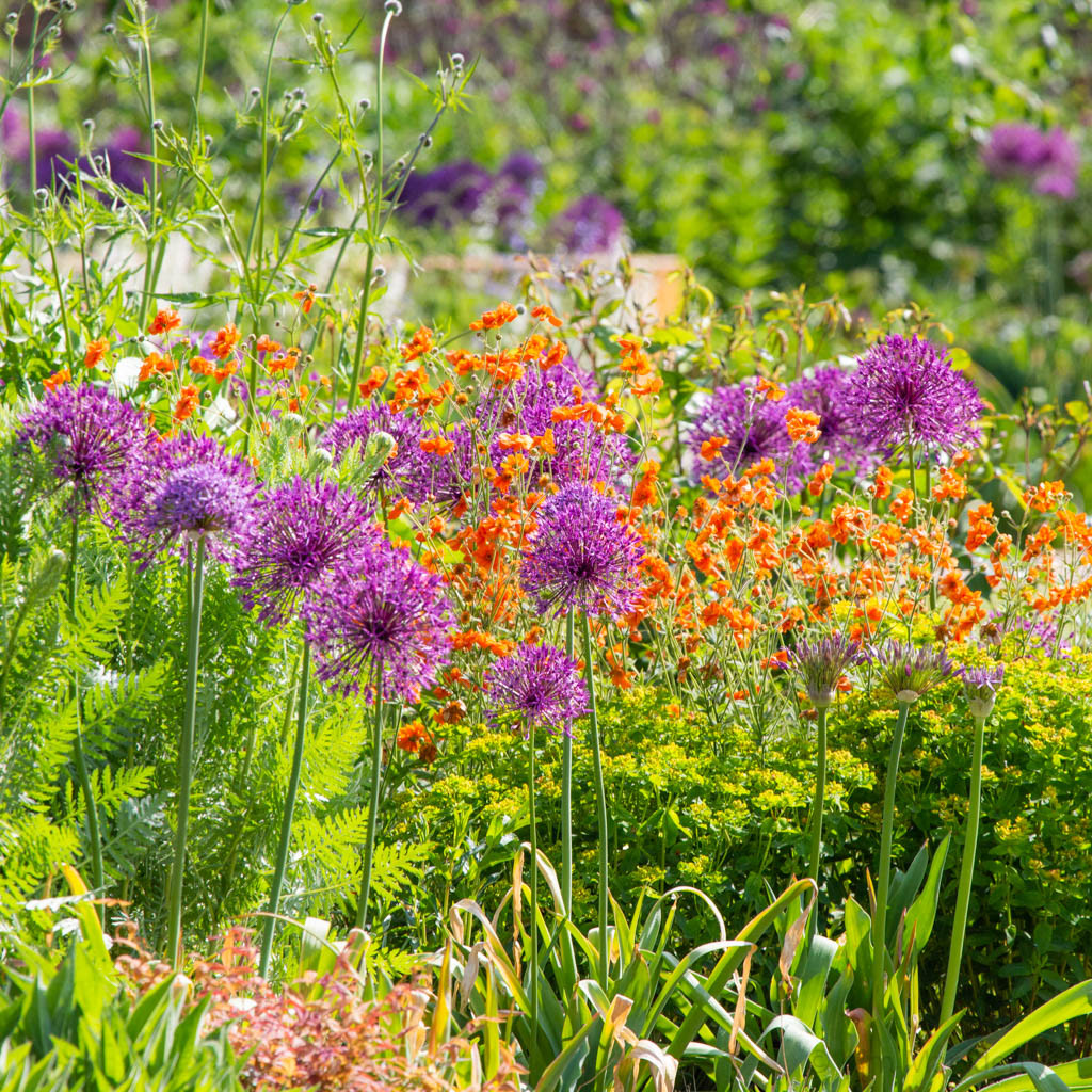 New walled garden in late spring