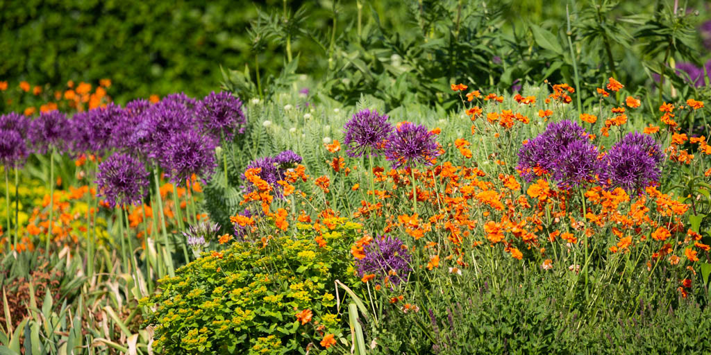 New walled garden in late spring