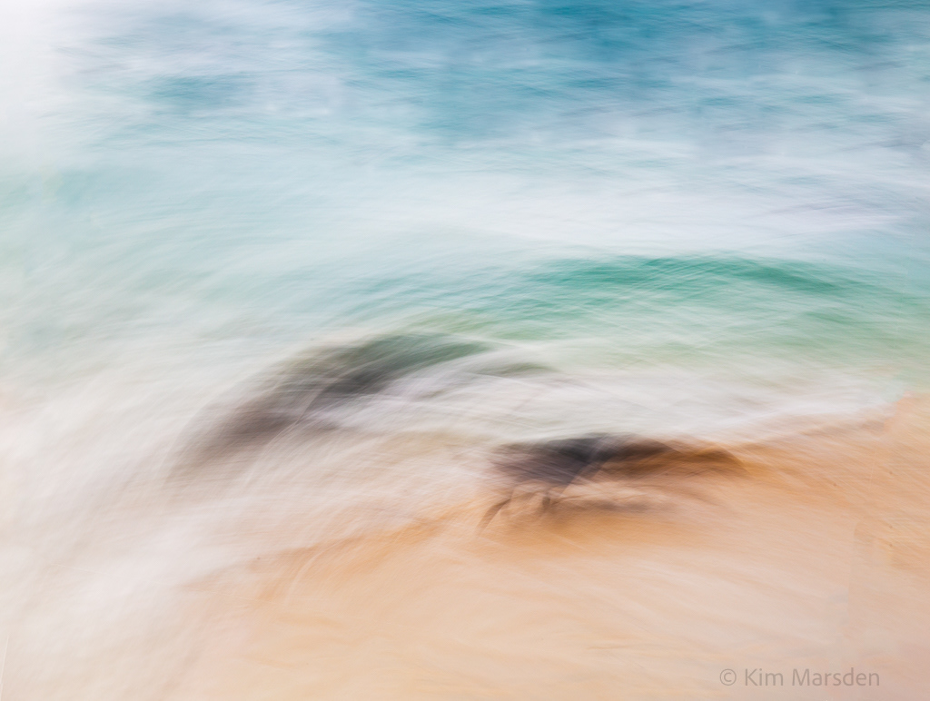 Underwater creatures