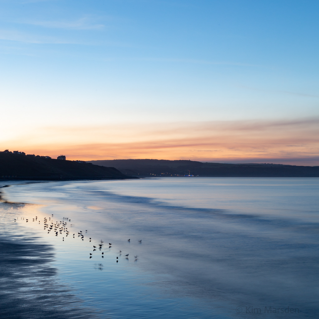 Etherial light on sea birds looking towards Sandsend from Whitby west pier