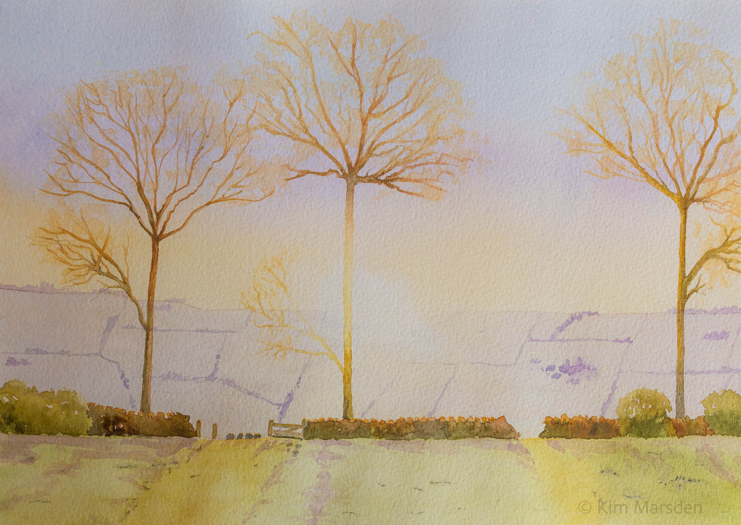 Summer Sunrise