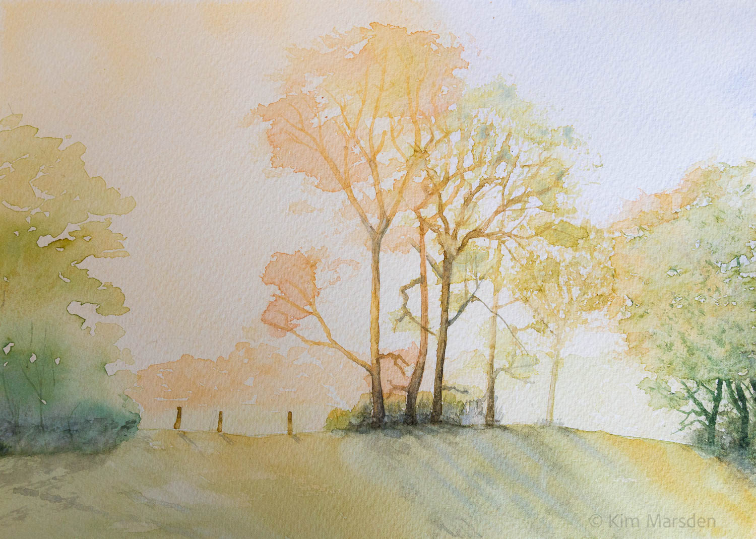 Autumnal light 1