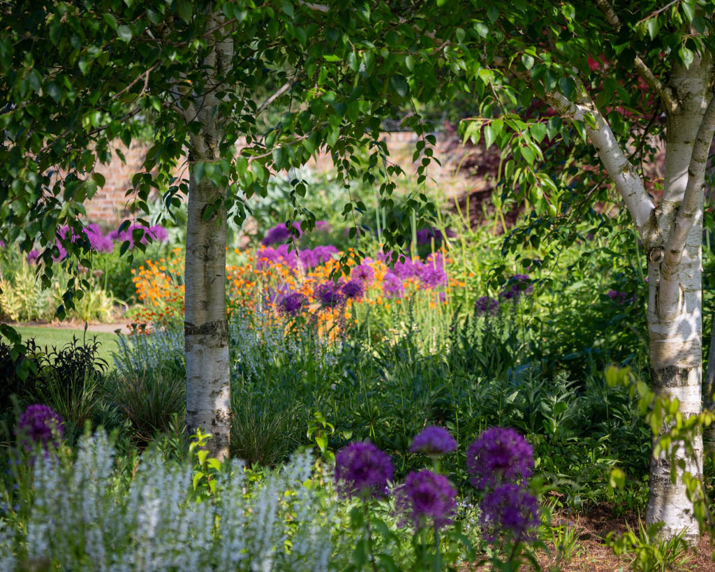 New walled garden in late spring