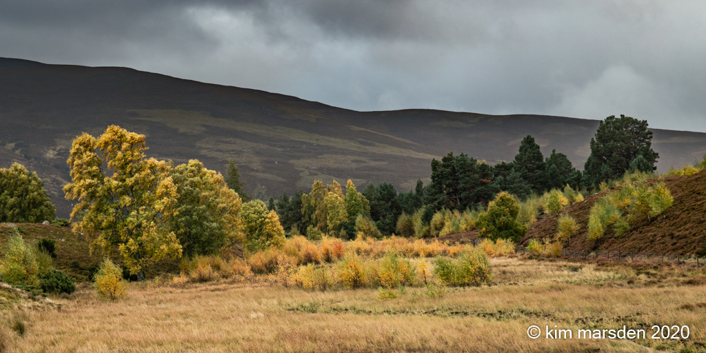 Bleak Autumn