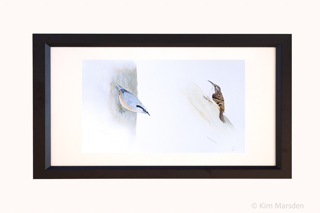 Treecreeper & Nuthatch Diptych 