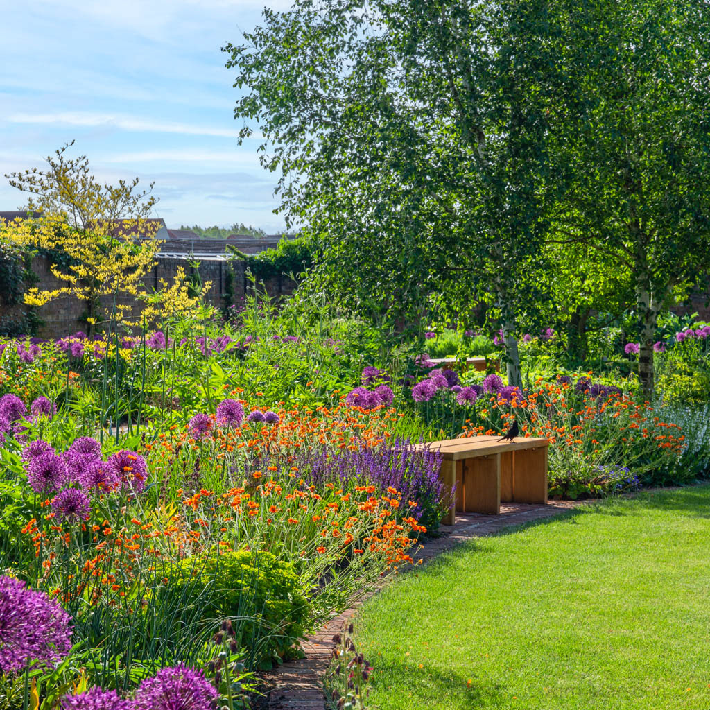 New walled garden in late spring