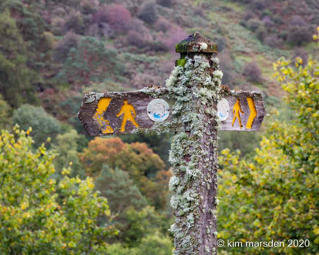 Wye Valley Way marker