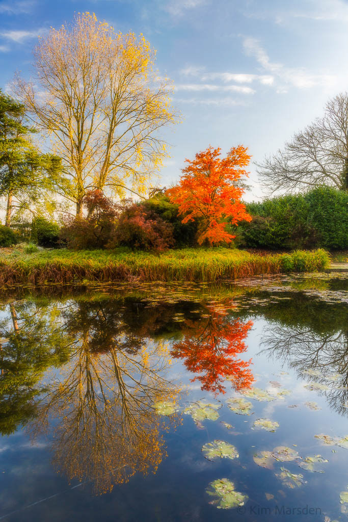 Autumn at Burnby Hall
