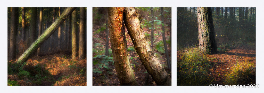 Leaning (Triptych)