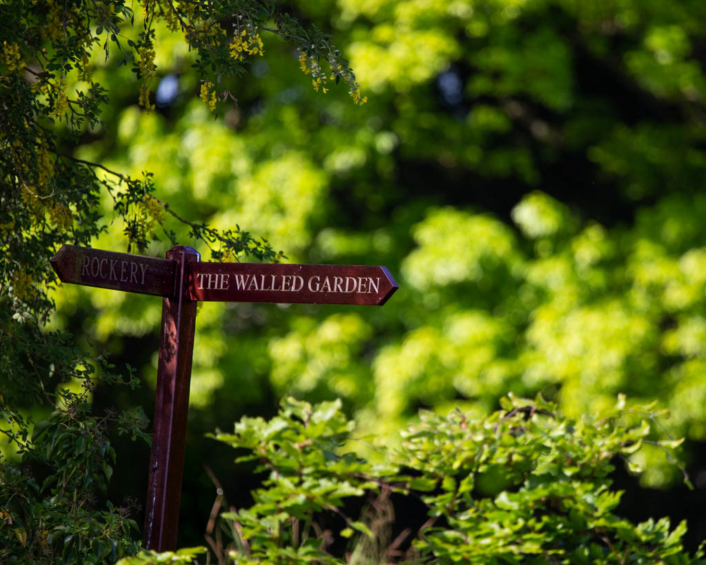New walled garden in late spring