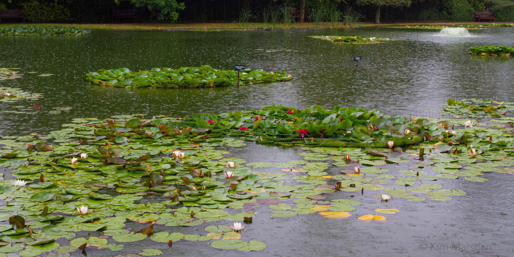 The wettest day of summer 2022