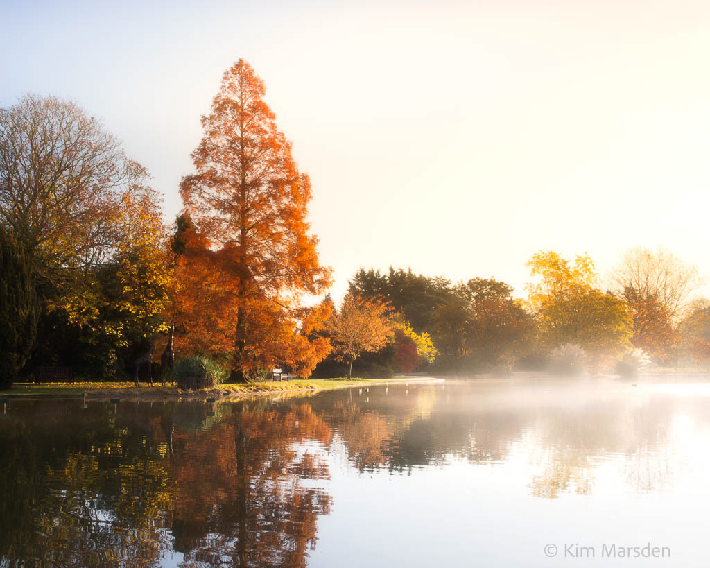 Autumn at Burnby Hall