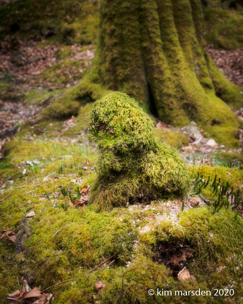 Dingly Dell
