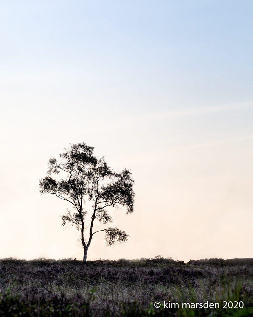 Standing alone