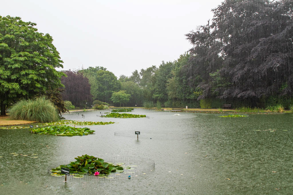 The wettest day of summer 2022