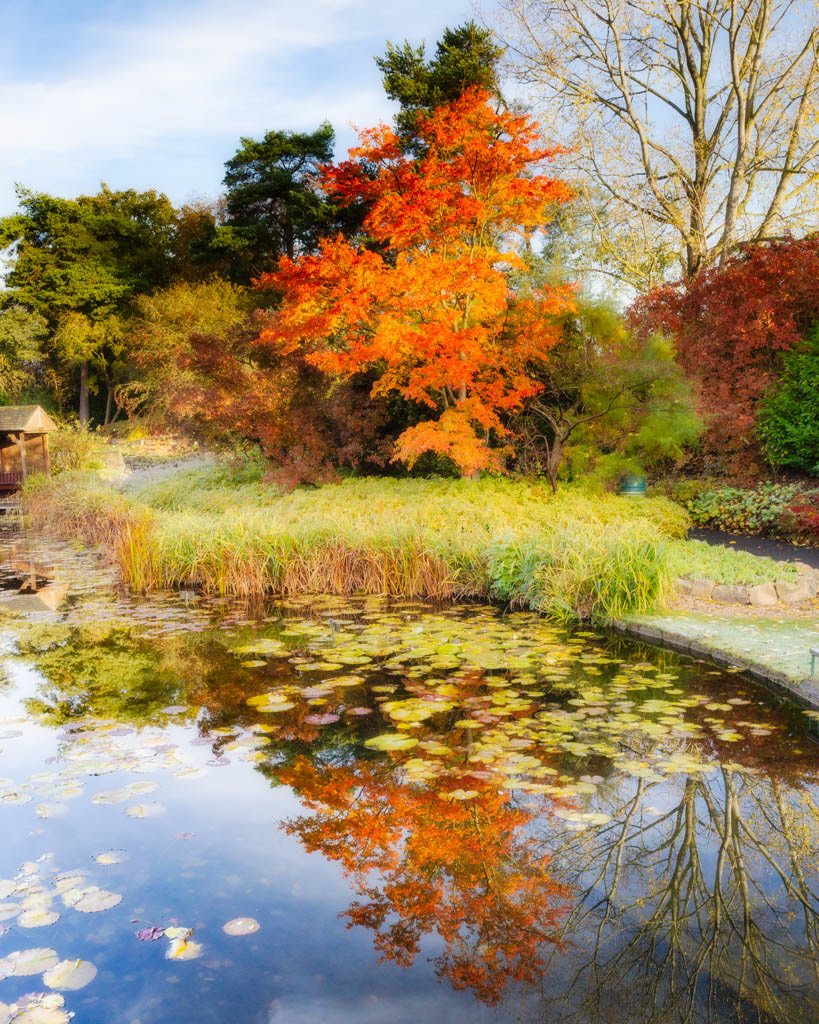 Autumn at Burnby Hall