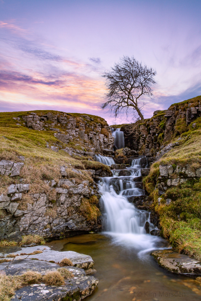 Tree, waterfall and early light - Yorkshire Dales
