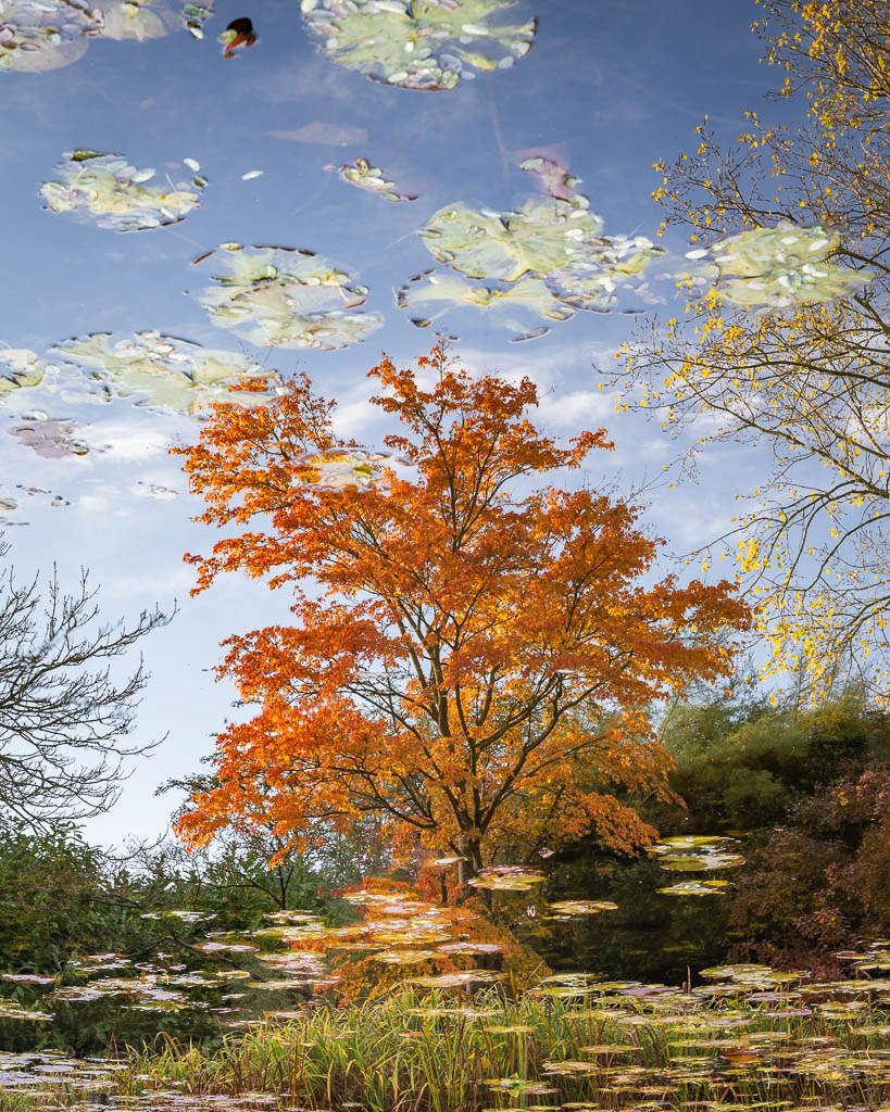 Autumn at Burnby Hall